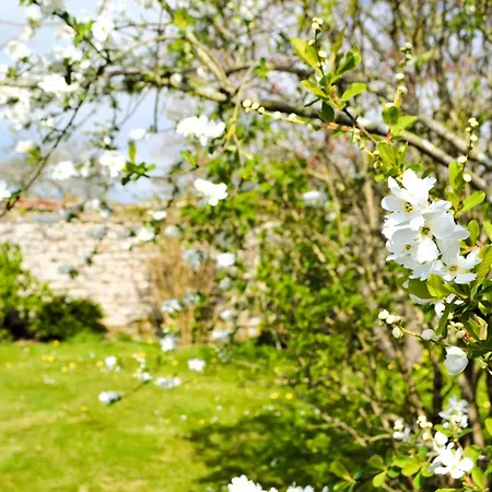 Des Sangles Tatil Evi *