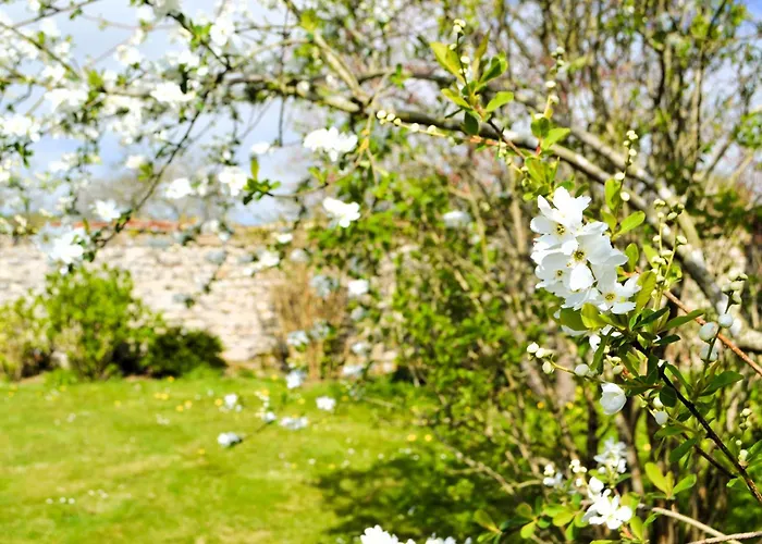 Des Sangles Holiday home *